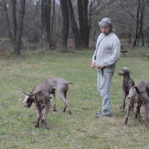 Eleveur : élevage du TOMBEL'EAU