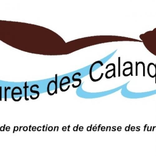 Association : Les furets des calanques