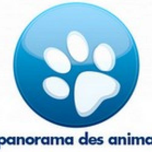 Association : Le Panorama des Animaux