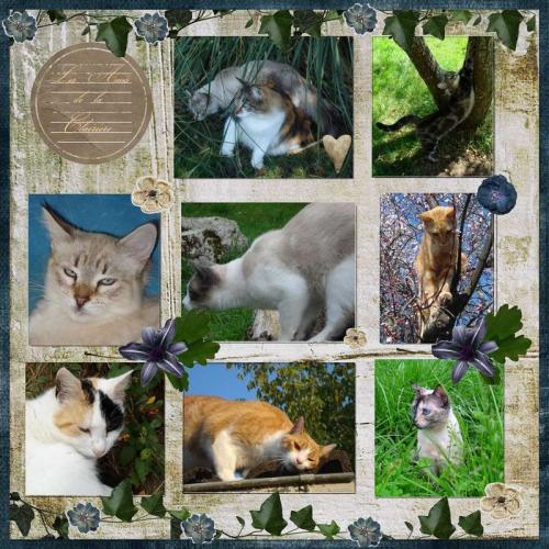 Association : Les Amis de la Clairière