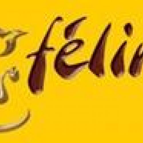 Association : Orfélins