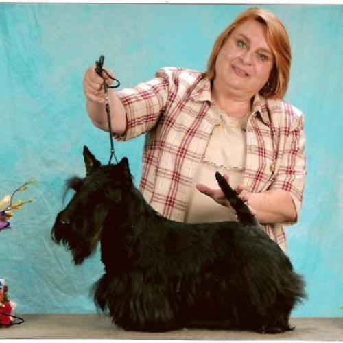 Eleveur : GATERIN Scottish Terriers