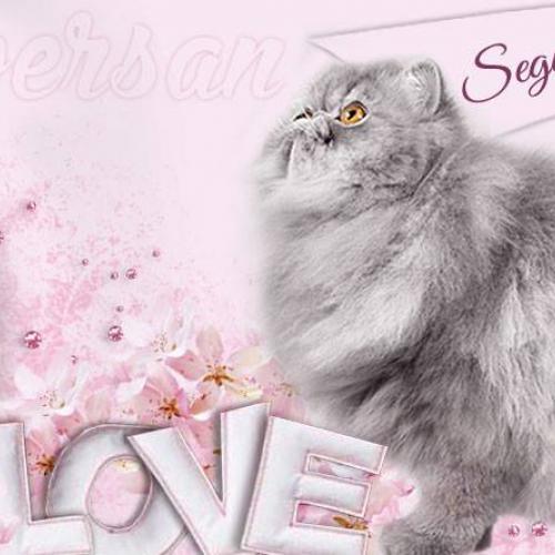 Eleveur : Sequana Legend's