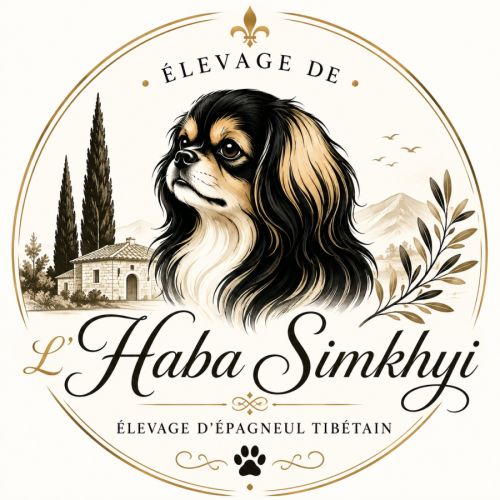 Élevage épagneul tibétain