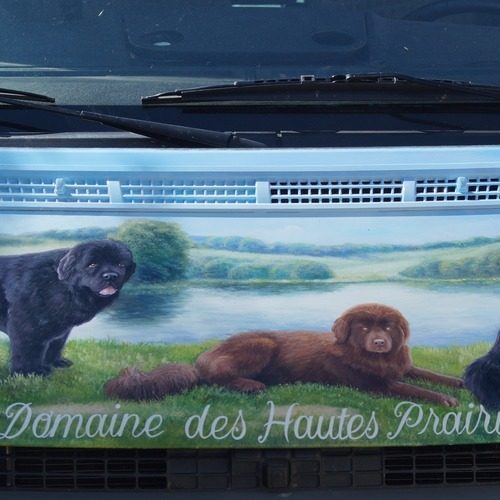 Élevage : domaine des hautes prairies