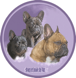 Eleveur : Sharp et boule de Nat