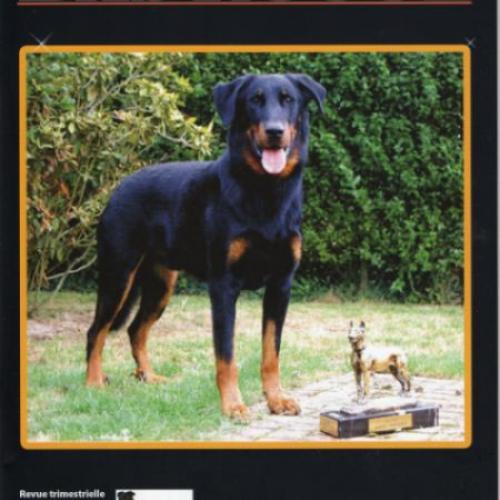 Élevage : berger de beauce - beauceron