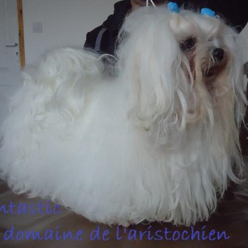 Eleveur : Domaine de l'écaillon