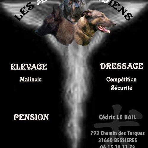 Eleveur : Les Anges Gardiens