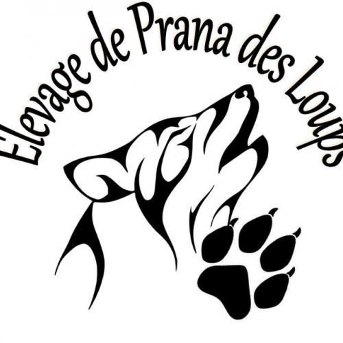 Eleveur : Elevage de Prana des Loups
