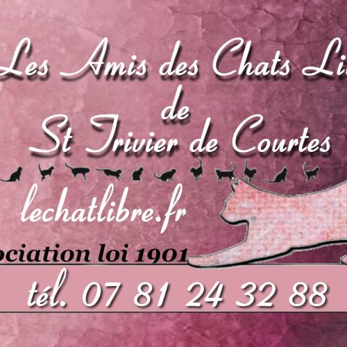 Association : association loi 1901