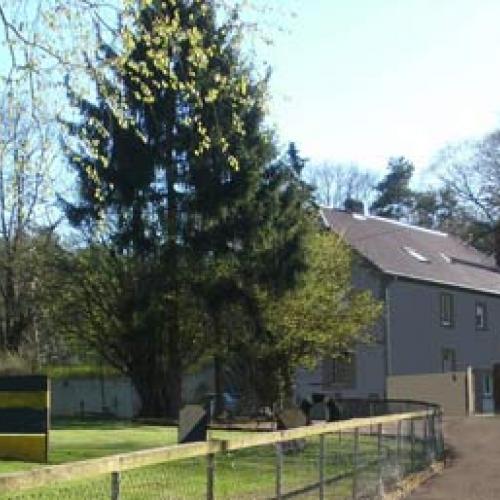 Eleveur : Domaine d'Ophélie