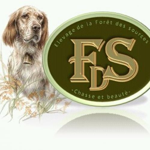 Eleveur : Elevage de la Forêt des Sources