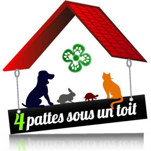 Association : 4 pattes sous 1 toit
