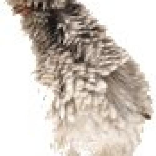 Eleveur : La Ferme de Keres