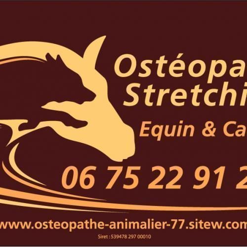 Ostéopathe animalier 77