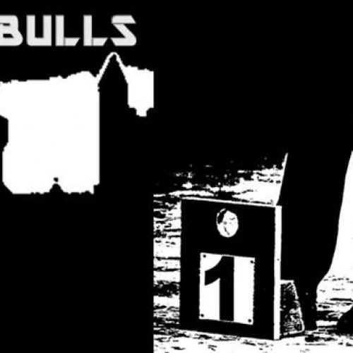 Élevage : bouledogue americain