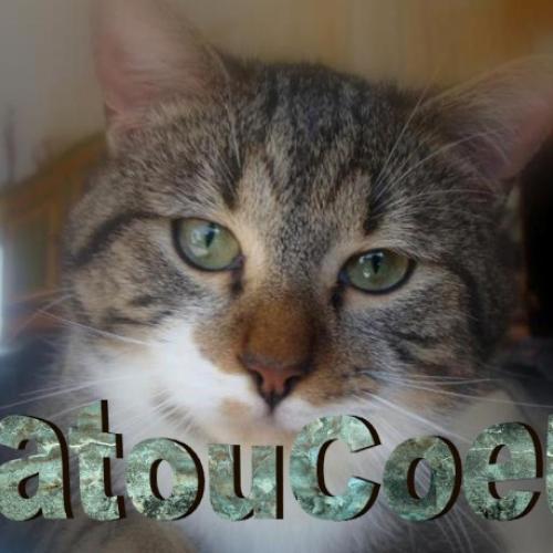 Association : Matoucoeur