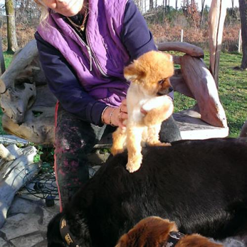 Eleveur : elevage de leyre