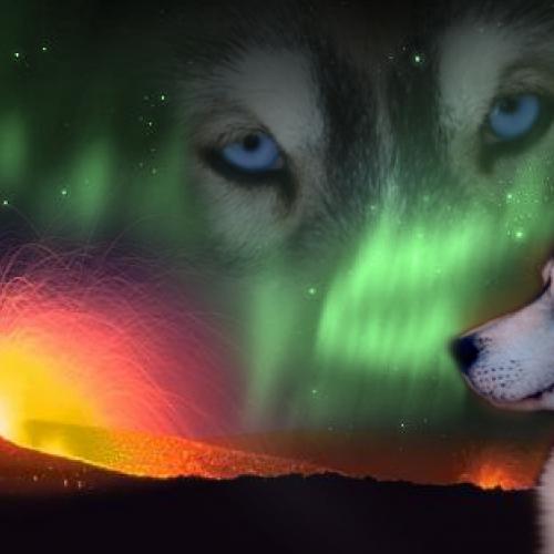 Eleveur : Og island snaegerdi