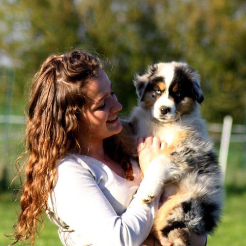 Elevage du Tipi Farfelu