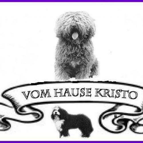 Élevage : chien d eau espagnol