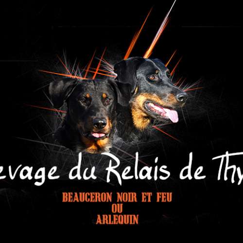 Eleveur : Relais de Thyle