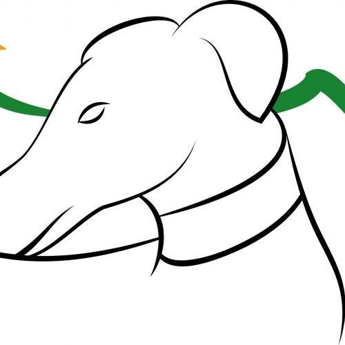 Association des lévriers espagnols