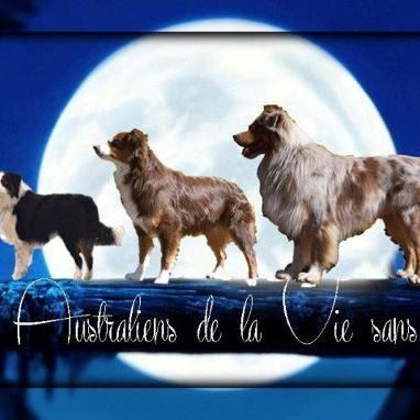 Eleveur : elevage de la vie sans soucis