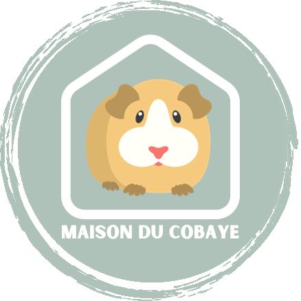 Maisonducobaye