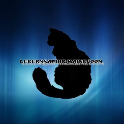 Chatterie des lueurs saphir