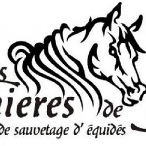 Association Les Crinières de l'Yser
