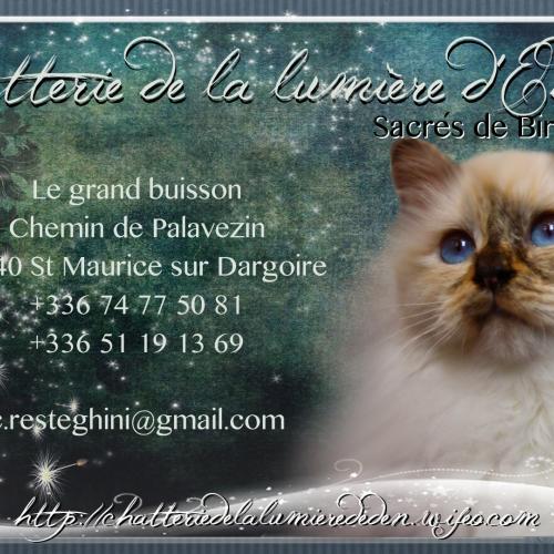 Elevage de la Lumière d'Eden