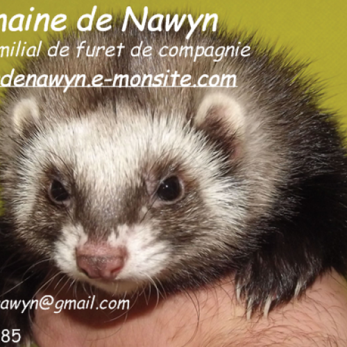 Domaine de Nawyn