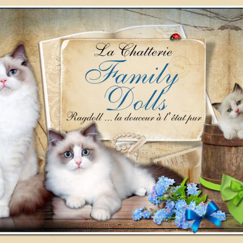Chatterie Family Dolls