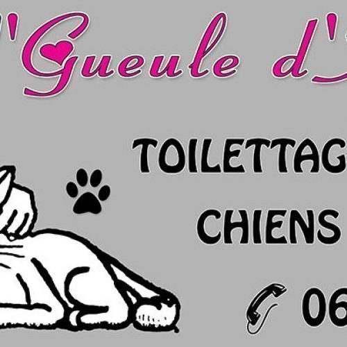 Toilettage à domicile chiens et chats