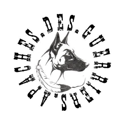 Berger Belge Malinois