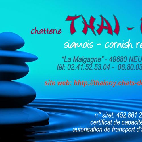 élevage familial de chats de race