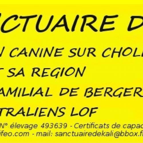 Elevage du Sanctuaire de Kali - éducation canine