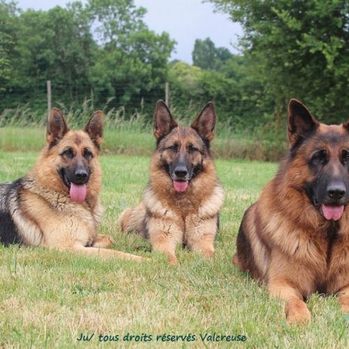 Elevage du Val de la Petite Creuse