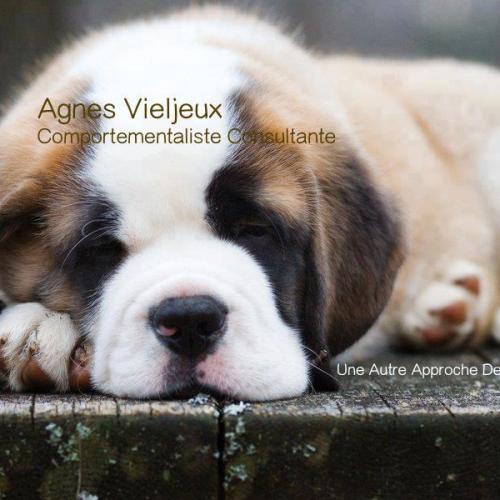 Comportementaliste dans le Gard