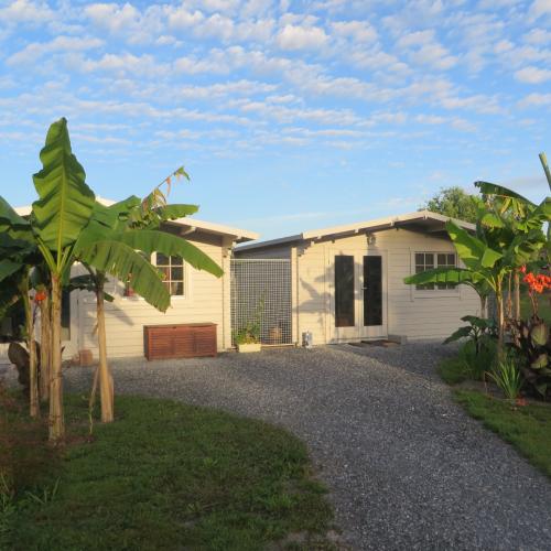 Pension féline haut de gamme