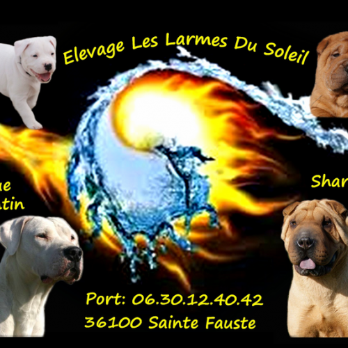 Elevage Les Larmes du Soleil