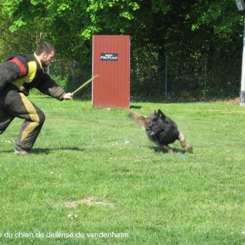 Elevage des Crocs d'Ivry