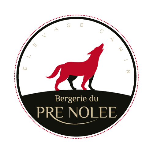 Elevage professionnel dans un cadre familial !!