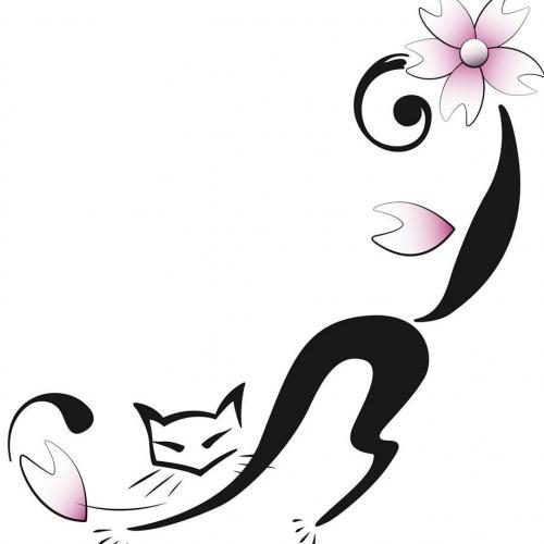 Hôtel - Pension pour chats à Vienne dans l'isère