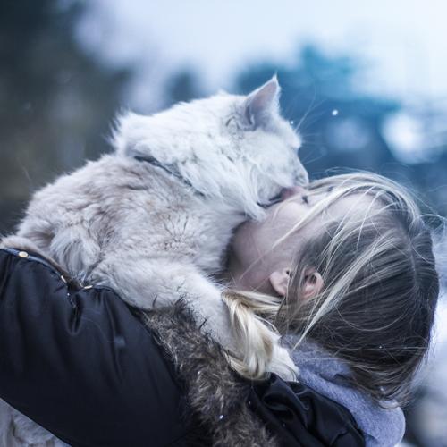 Chatterie Familiale de l'Eau d'Rêve