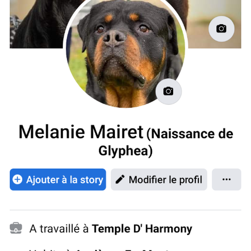 Eleveuse passionné de rottweiler