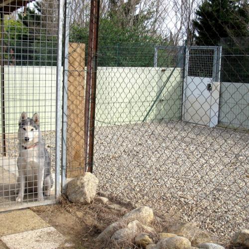 Elevage/Pension la Mascotte des Albères