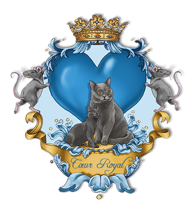 Elevage familial du Coeur Royal, Chats Chartreux